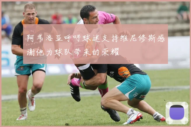 阿韦洛亚呼吁球迷支持维尼修斯感谢他为球队带来的荣耀